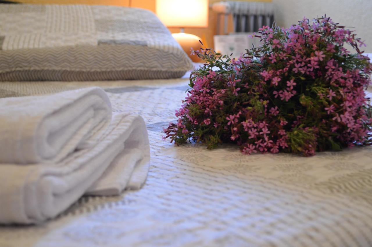 Hostal Pas De La Pera Aransá Dış mekan fotoğraf