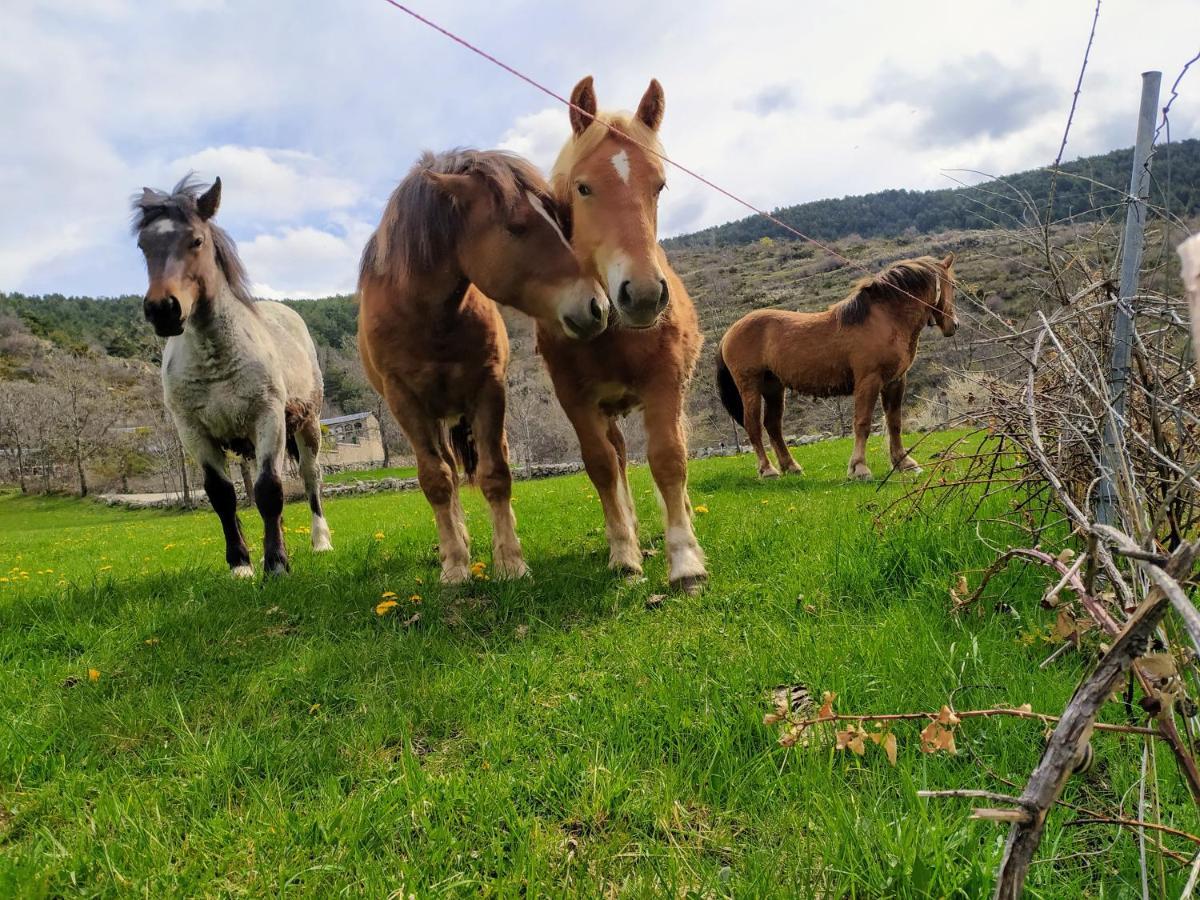 Hostal Pas De La Pera Aransá Dış mekan fotoğraf